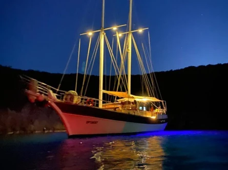 Optimist 28