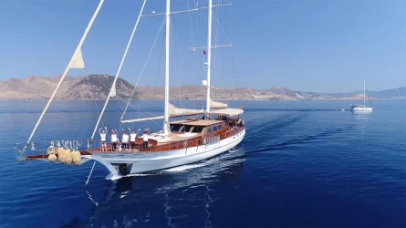 Arabella 7