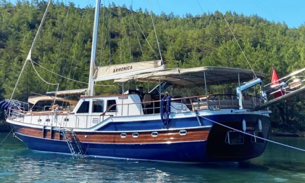 Armonica