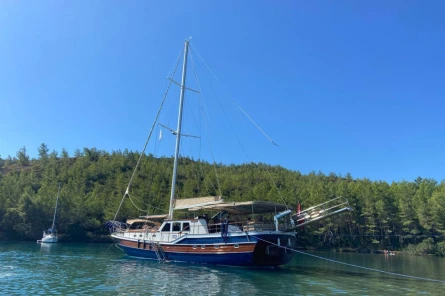 Armonica 6