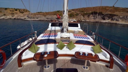 Artemis 8
