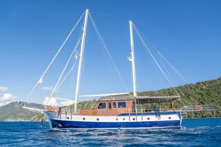 Auramia 4