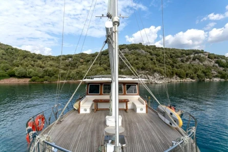 Auramia 5
