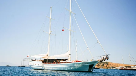 Beyaz Lale 8