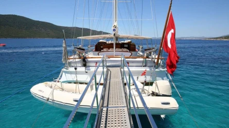 Caner 4 9