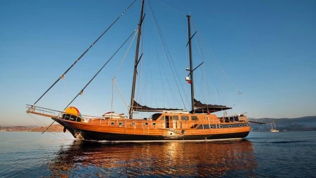 Capricorn 1 10