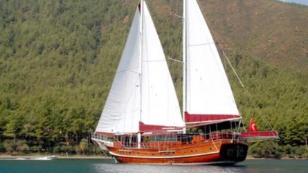 Çelik Es D 6