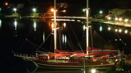 Çelik Es D 9