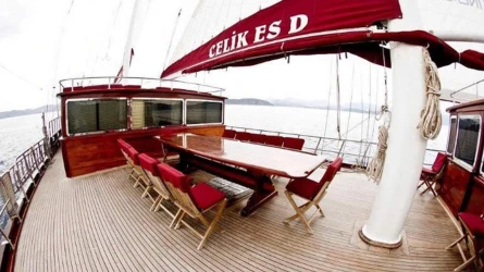 Çelik Es D 13