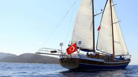 Cevri Hasan 4 6