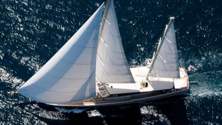 Daima 5