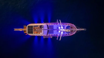 Dalibay III 5