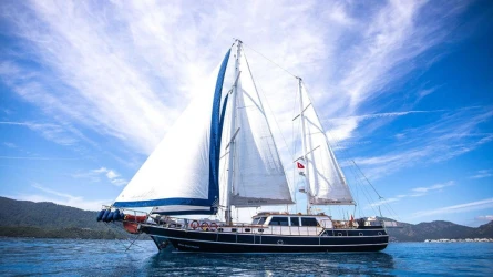 Dea Del Mare 11