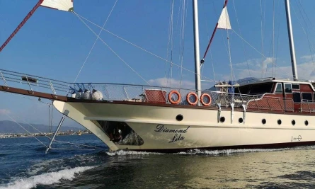 Diamond Lila 6
