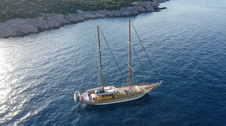 Dionysos 5