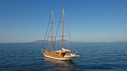 Dionysos 9