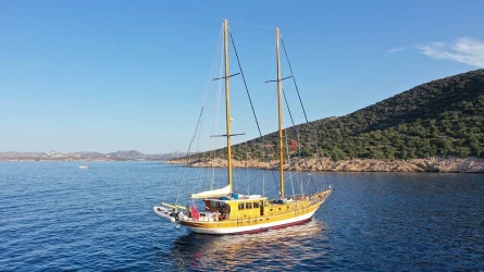 Dionysos 11