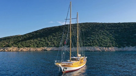 Dionysos 13