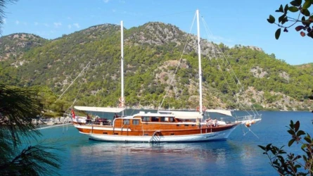 Doğukan A 1