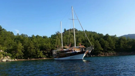 Doğukan A 4