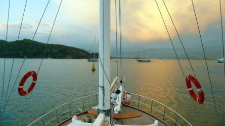 Doğukan A 7