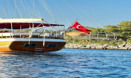 Doris 1 4