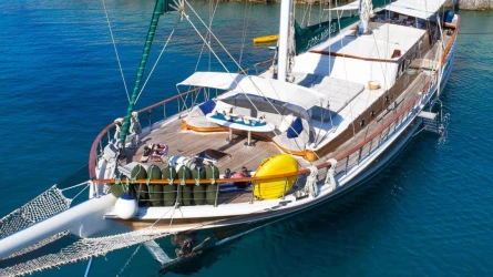 Ecce Navigo 6