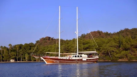 Erva Demir 11