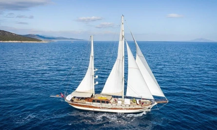 Estrella De Mar 2