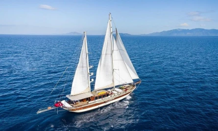 Estrella De Mar 3