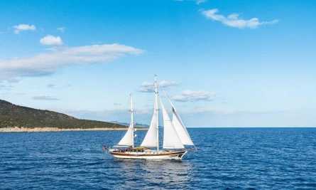 Estrella De Mar 4