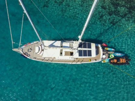Gazella 7