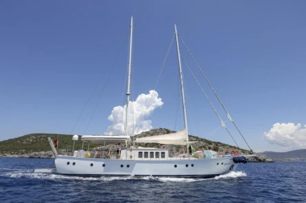 Gazella 12