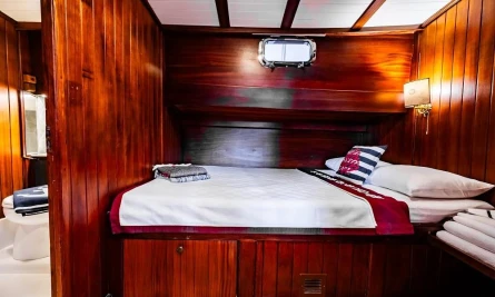 Golden Joy 46