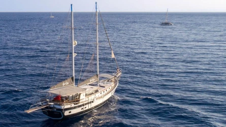 Grand Sailor 1