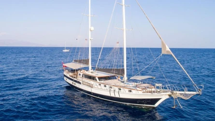 Grand Sailor 2