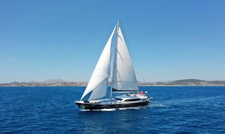 Canaria 2