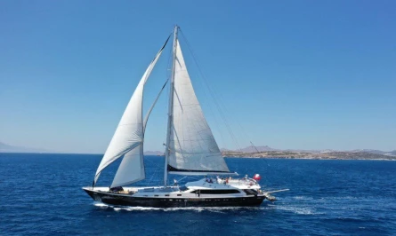 Canaria 3