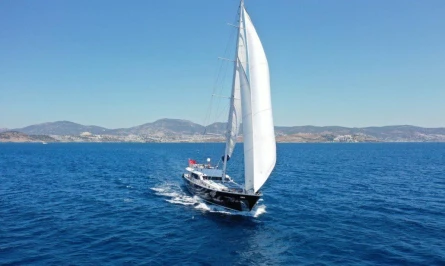 Canaria 4