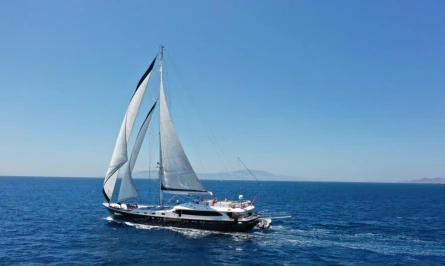 Canaria 5