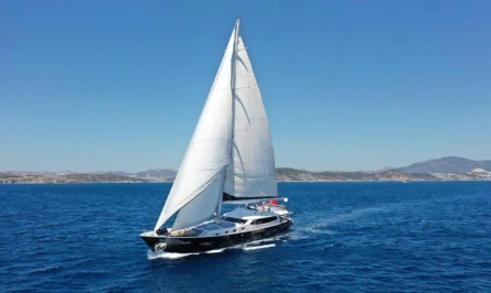 Canaria 7