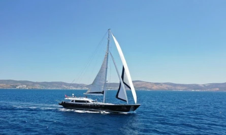 Canaria 8