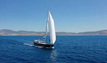 Canaria 9
