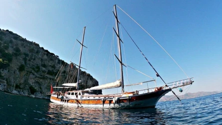 Gümüş 1 1