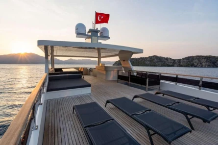 İmpact 14