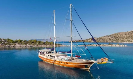 Junior Orçun 8