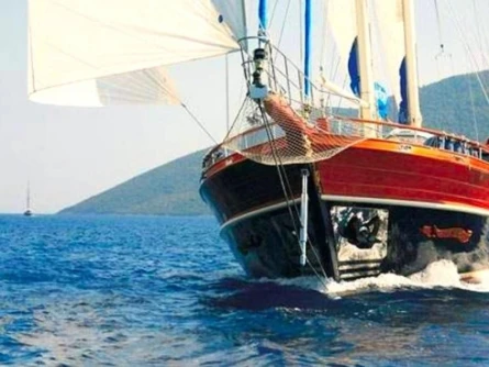 Kaya Güneri 4 3
