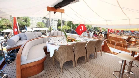 Kaya Güneri Plus 10