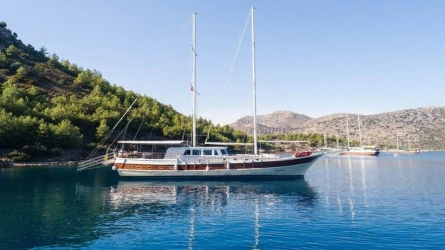 Koray Ege 2
