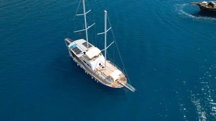 Lavinia 2